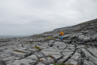 Exposures along margins of country road R477 of Dinantian Burren Limestone Formation. These Carboniferous limestons are composed of shallow water carbonates. Note the clints (limestone blocks) and grikes (joints and fractures) extensively enlarged by Pleistocene dissolution. Topography almost devoid of vegetation, though when it occurs it fills prominent grikes.